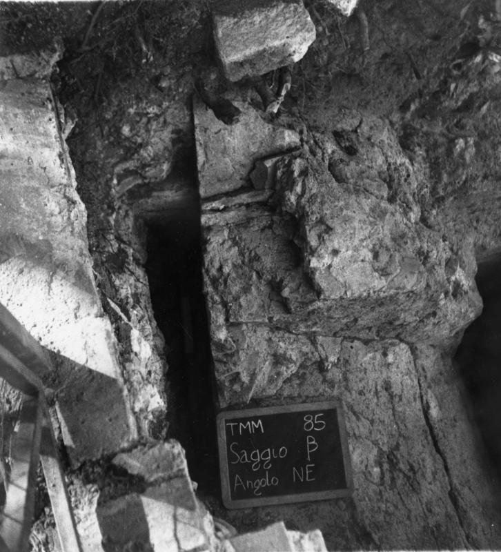 TMM-DT017-asf006833.jpg