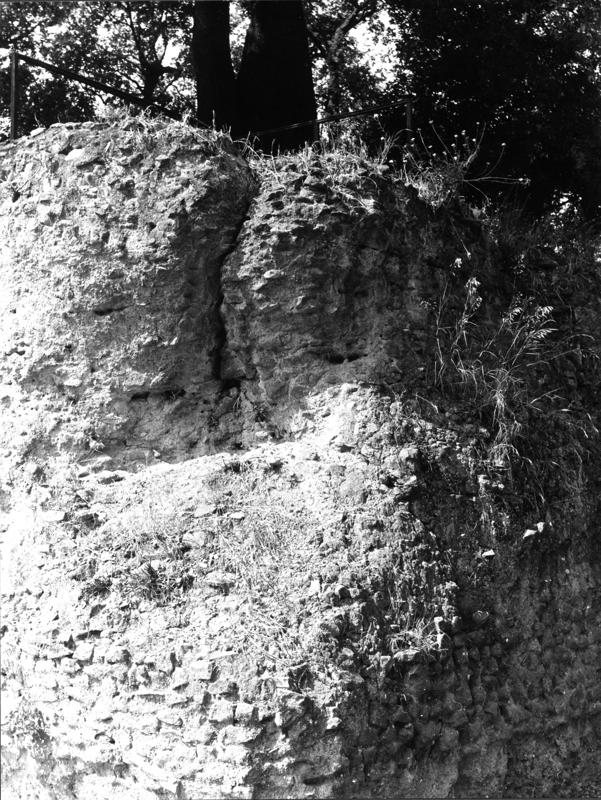 TMM - FT009-asf006857.jpg