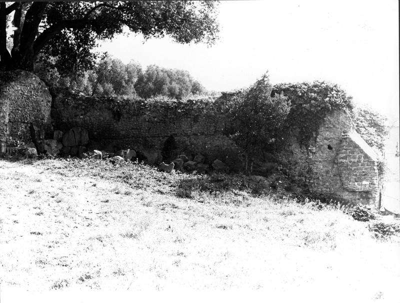 TMM - FT013-asf006861.jpg
