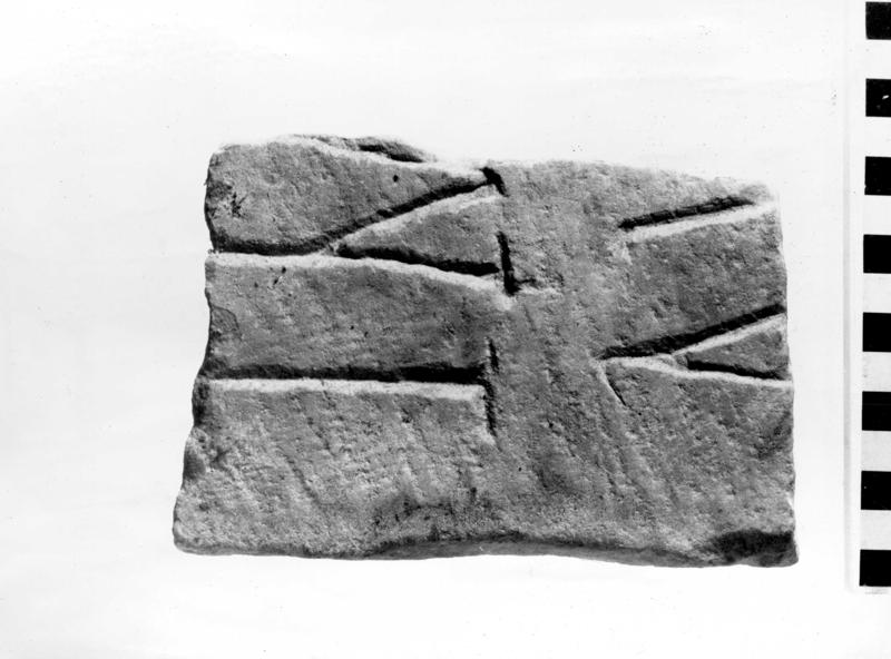 TMM-I009-asf006895.jpg