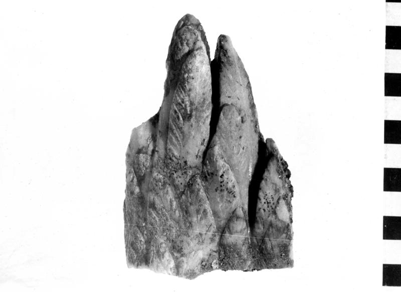 TMM-I010-asf006897.jpg