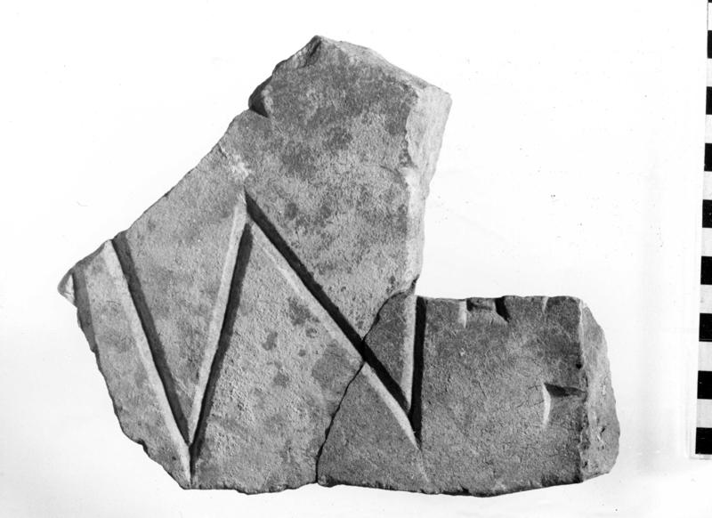TMM-I013-asf006903.jpg