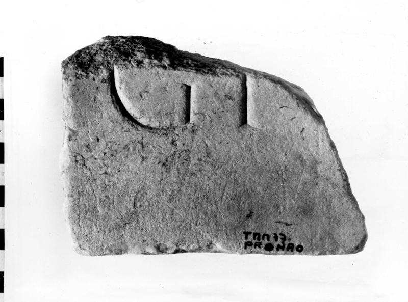 TMM-I014-asf006905.jpg