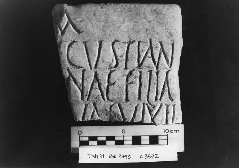 TMM-I016-asf006908.jpg