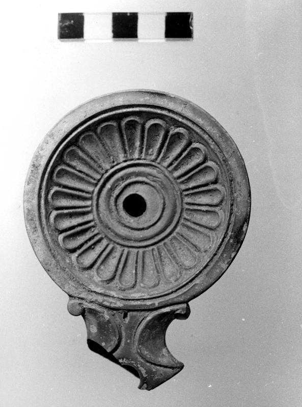 TMM-L001-asf006909.jpg
