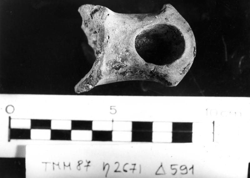 TMM-L019-asf006932.jpg