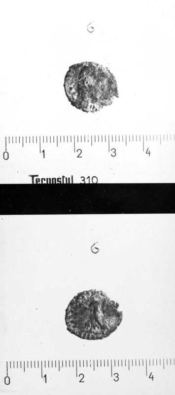 TMM-M001-asf006946.jpg
