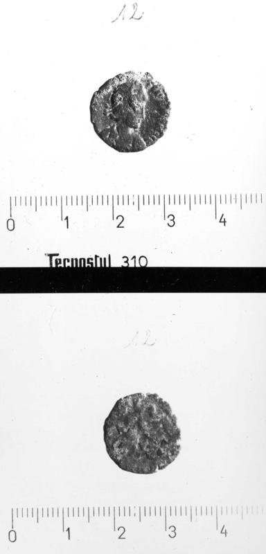 TMM-M002-asf006952.jpg