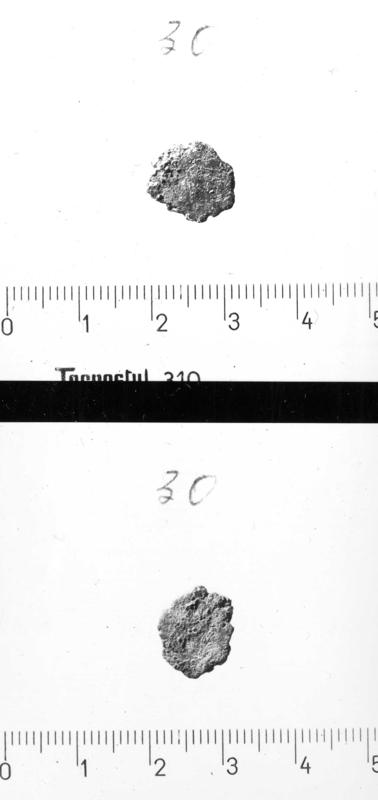 TMM-M005-asf006970.jpg