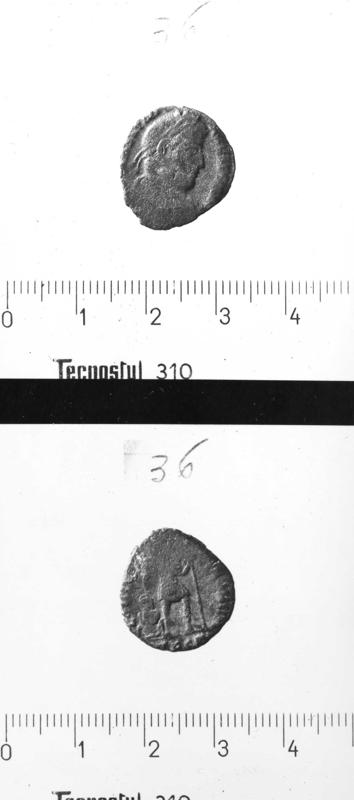 TMM-M006-asf006976.jpg