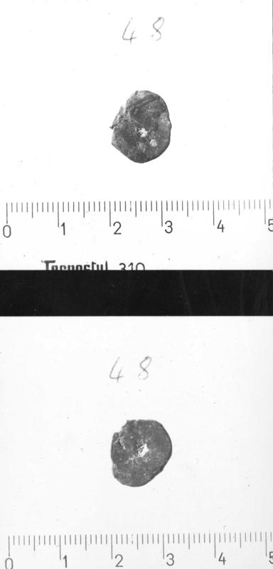 TMM-M008-asf006988.jpg