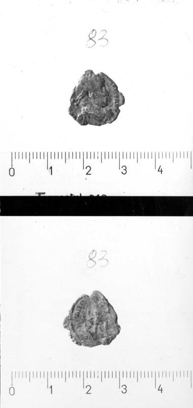 TMM-M011-asf007008.jpg