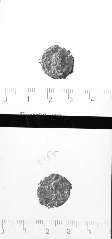 TMM-M012-asf007010.jpg