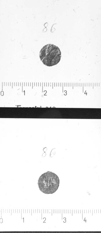 TMM-M012-asf007011.jpg