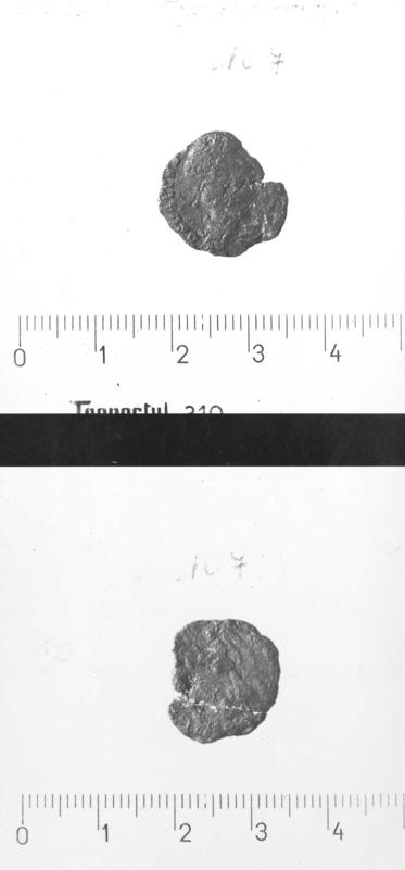 TMM-M015-asf007032.jpg
