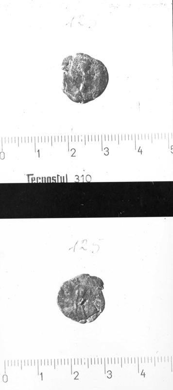 TMM-M017-asf007044.jpg