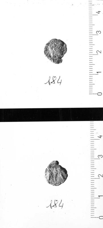 TMM-M023-asf007080.jpg