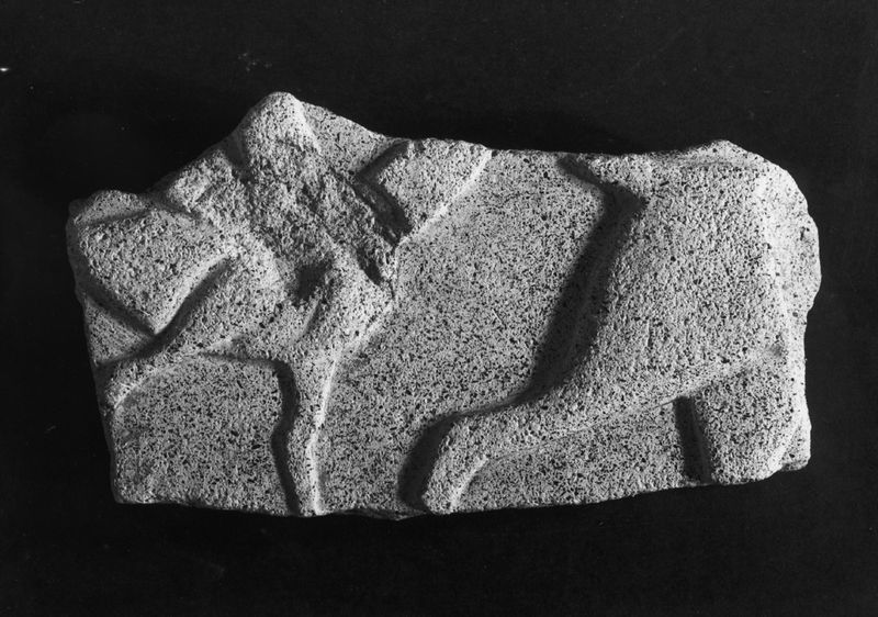 020783 - reperto - Frammento fittile; Neg. Serie film, Nr. 1854