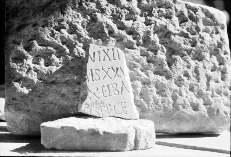 1-00001bis/ [non inventariato] - Roma - Antiquarium Forense (?)