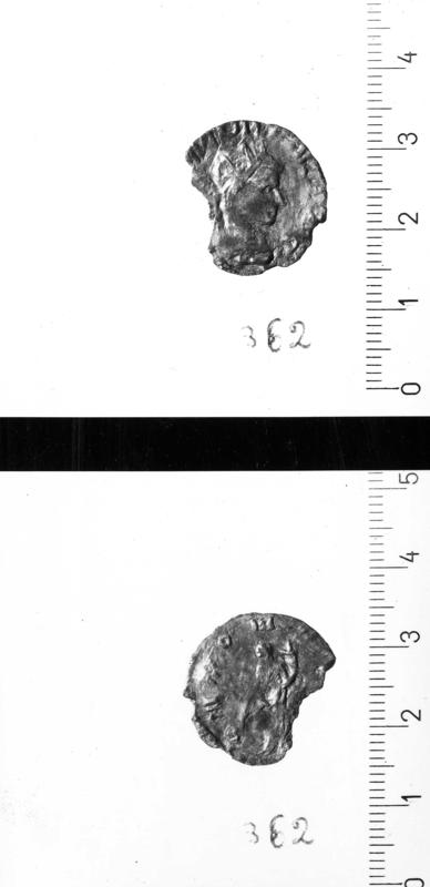 TMM-M045-asf007212.jpg