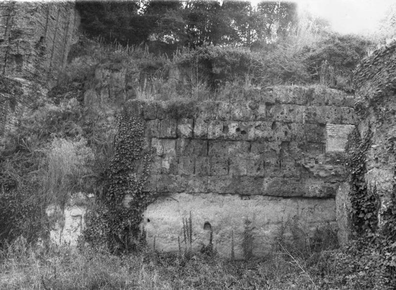 TMM-PSO019-asf007287.jpg