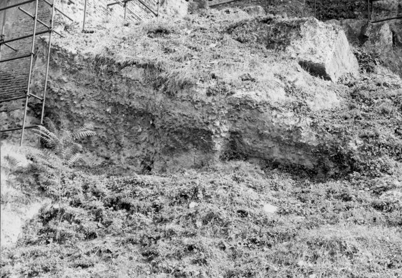 TMM-PSO023-asf007295.jpg