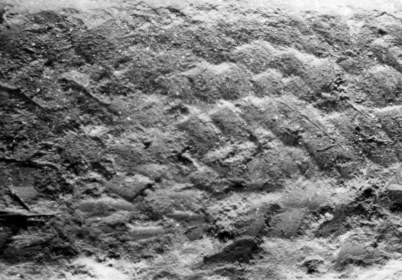 TMM-SB006-asf007323.jpg
