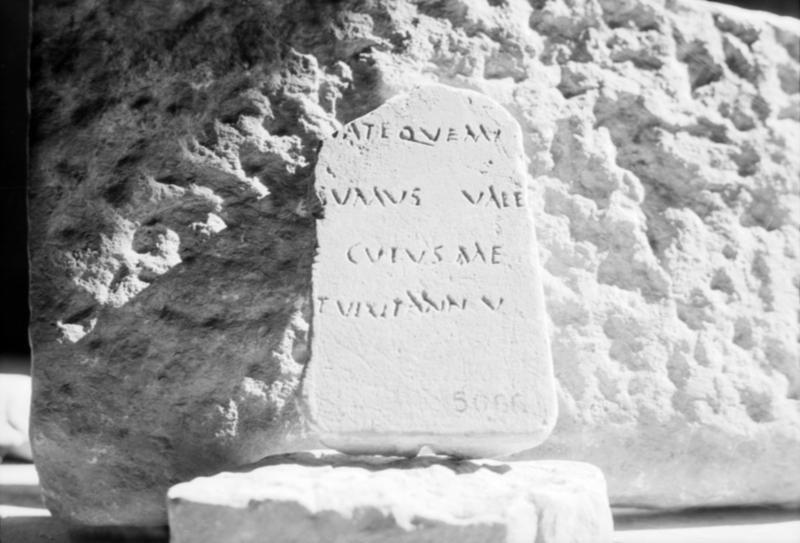 1-00001bis/ [non inventariato] - Roma - Antiquarium Forense (?)
