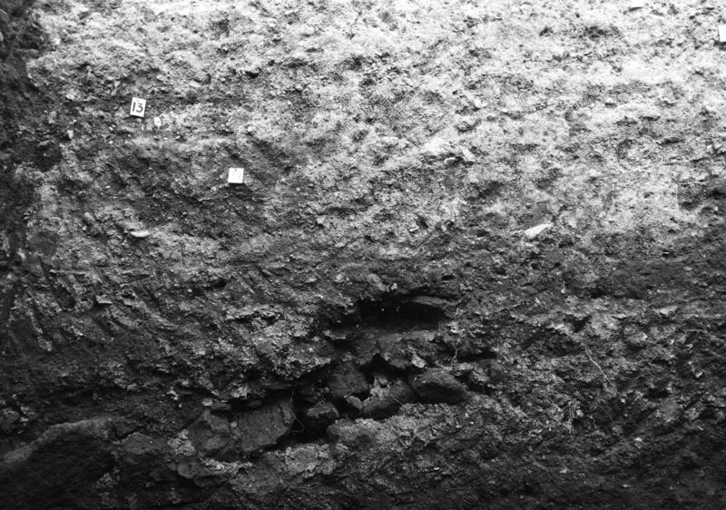 TMM-SJ004-asf007385.jpg