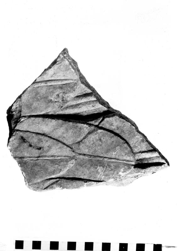 TMM-SM006-asf007432.jpg