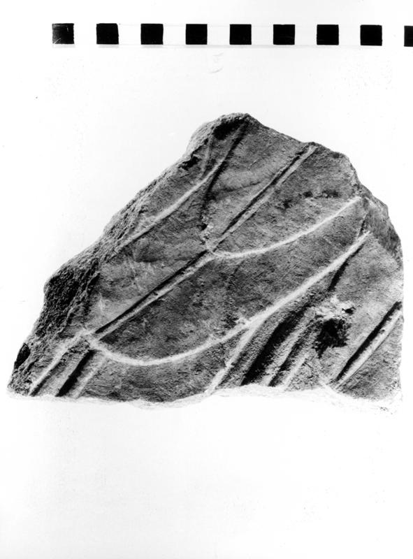 TMM-SM007-asf007433.jpg
