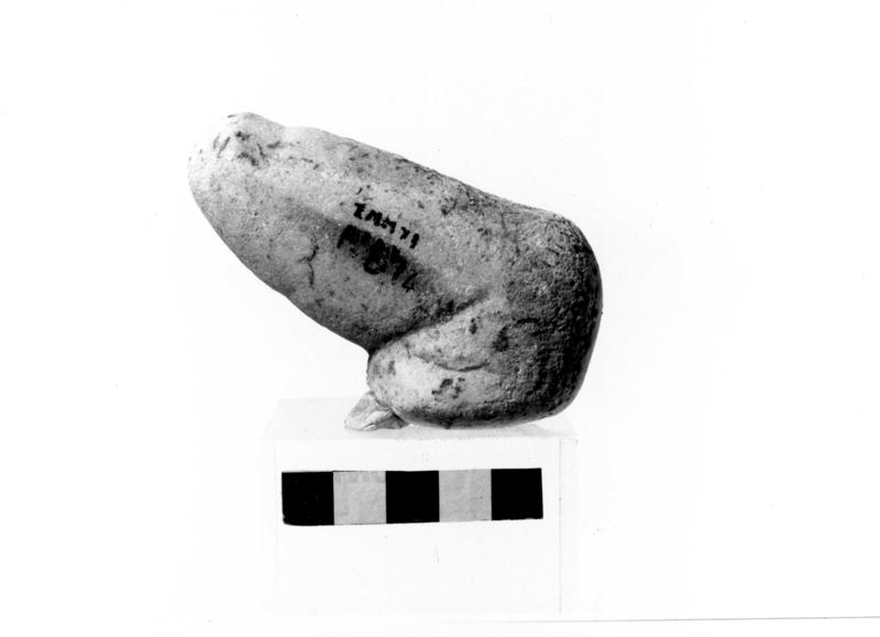 TMM-SM009-asf007435.jpg