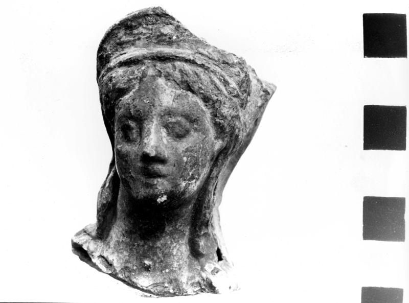 TMM-SV006-asf007444.jpg
