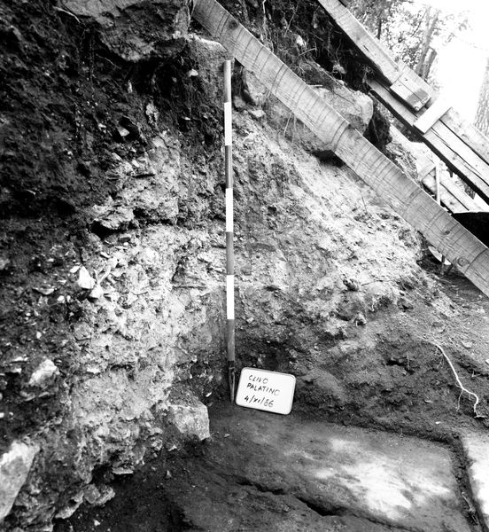 005698 - scavo archeologico - Clivio Palatino, lato sinistro: scavi