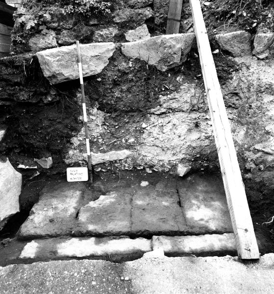 005700 - scavo archeologico - Clivio Palatino, lato sinistro: scavi