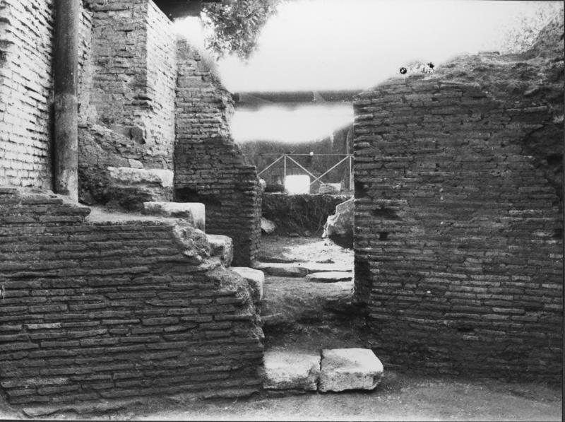 TMM - TVT018-asf007478.jpg