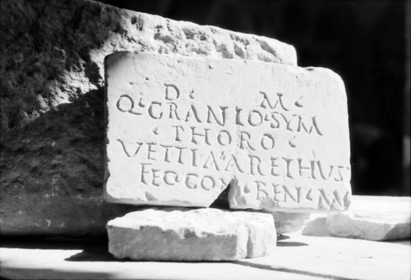 1-00001bis/ [non inventariato] - Roma - Antiquarium Forense (?)