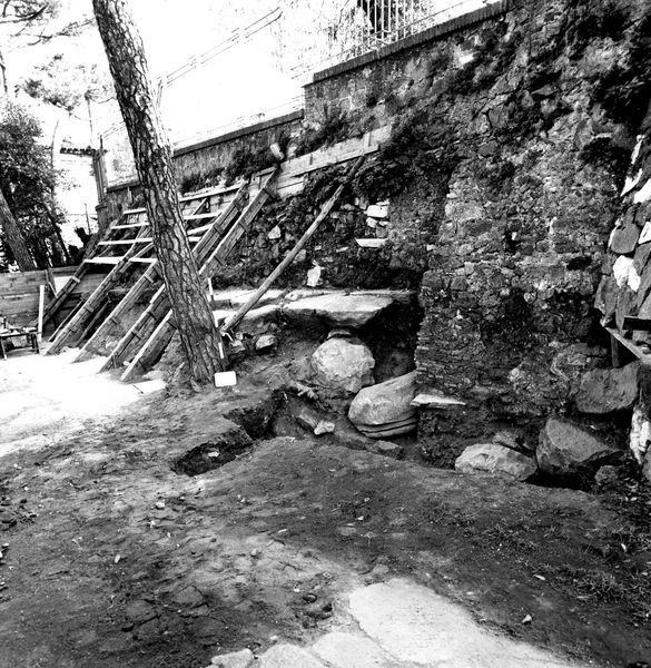 005702 - scavo archeologico - Clivio Palatino, lato sinistro: scavi