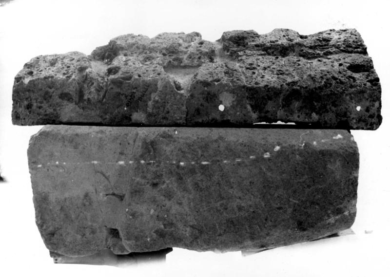 TMM-TI002-asf007575.jpg