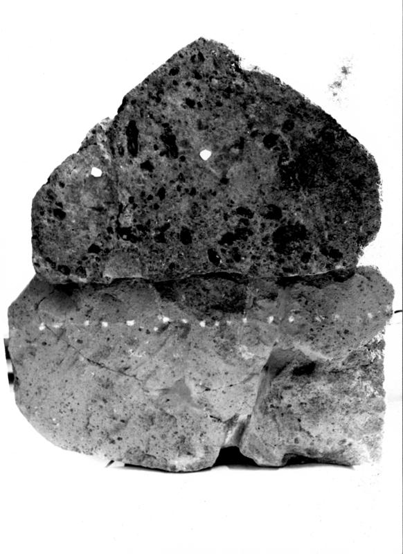 TMM-TI003-asf007576.jpg