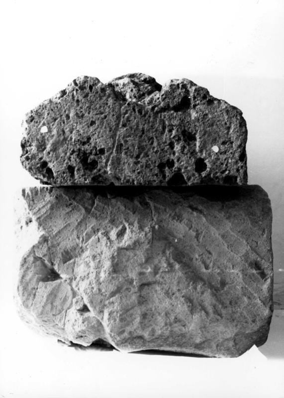 TMM-TI004-asf007577.jpg