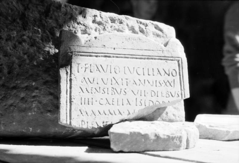 1-00001bis/ [non inventariato] - Roma - Antiquarium Forense (?)