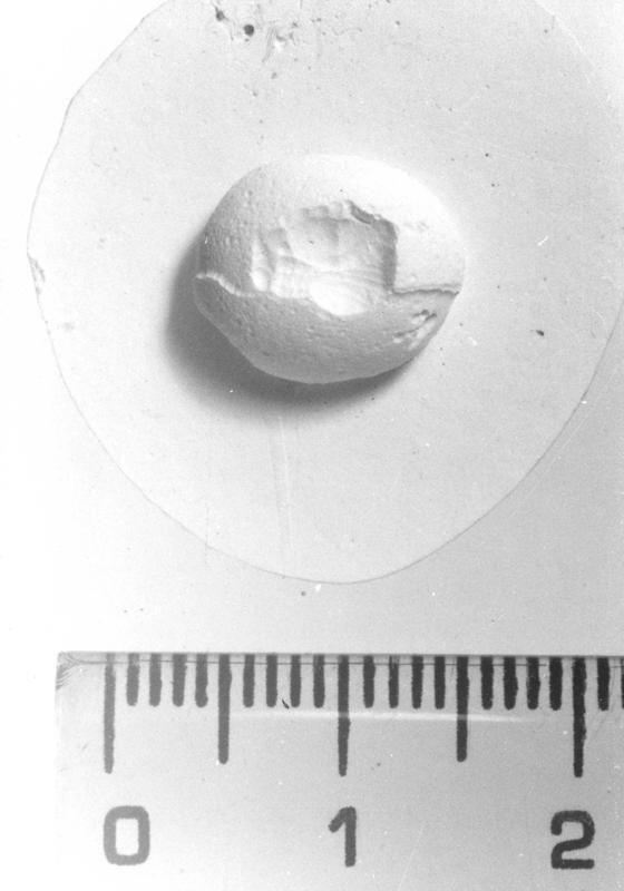 TMM-V002-asf007571.jpg