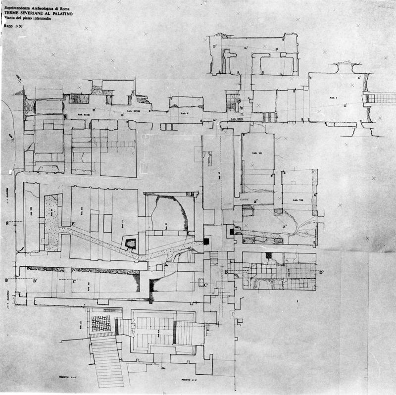 TS-A001-asf007679.jpg