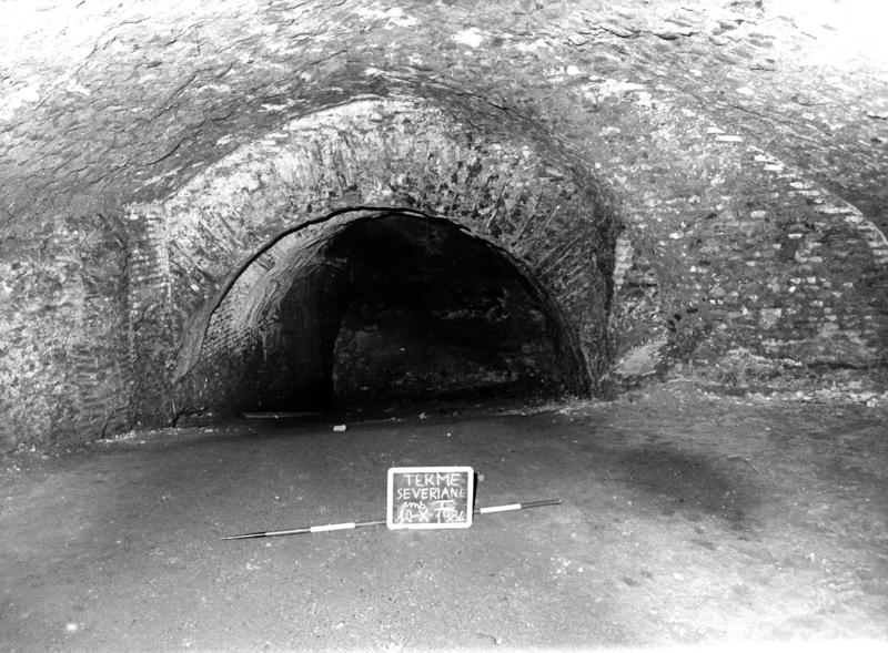 TS-A003-asf007681.jpg