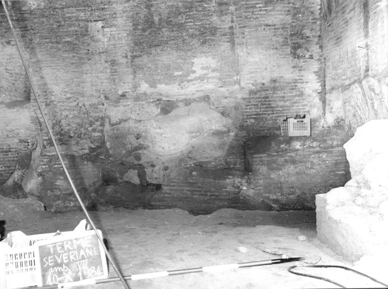 TS-A016-asf007694.jpg
