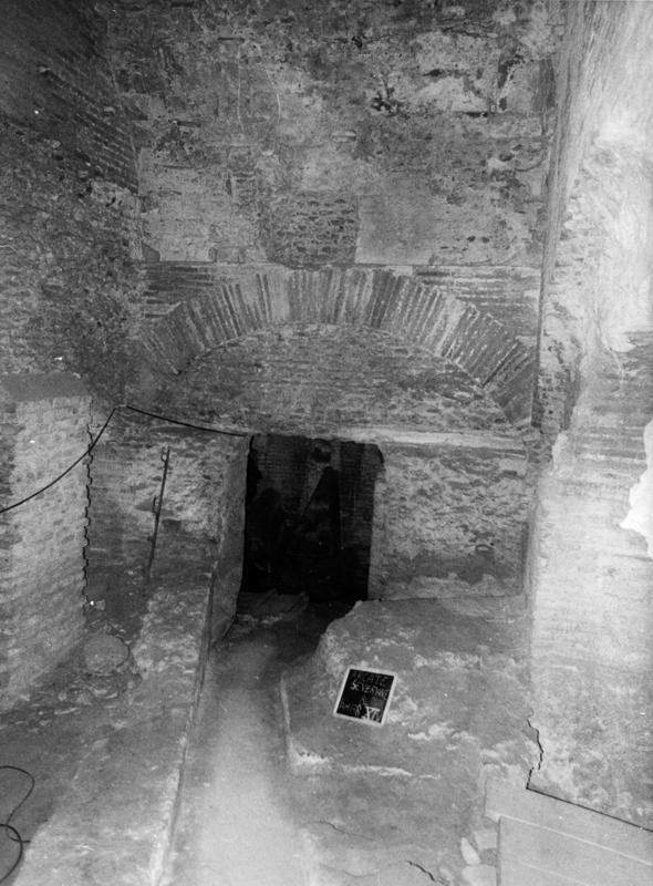 TS-A028-asf007706.jpg