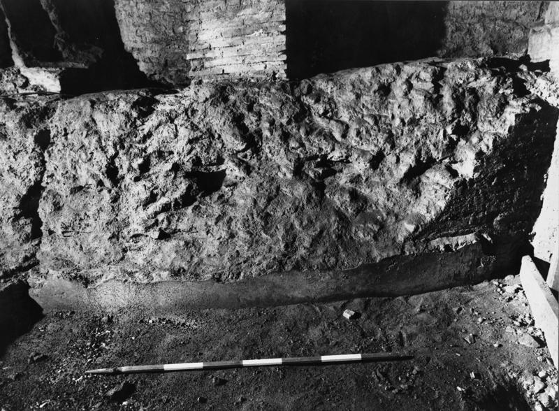 TS-A038-asf007716.jpg