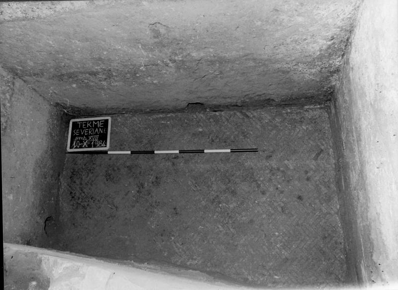 TS-A054-asf007732.jpg