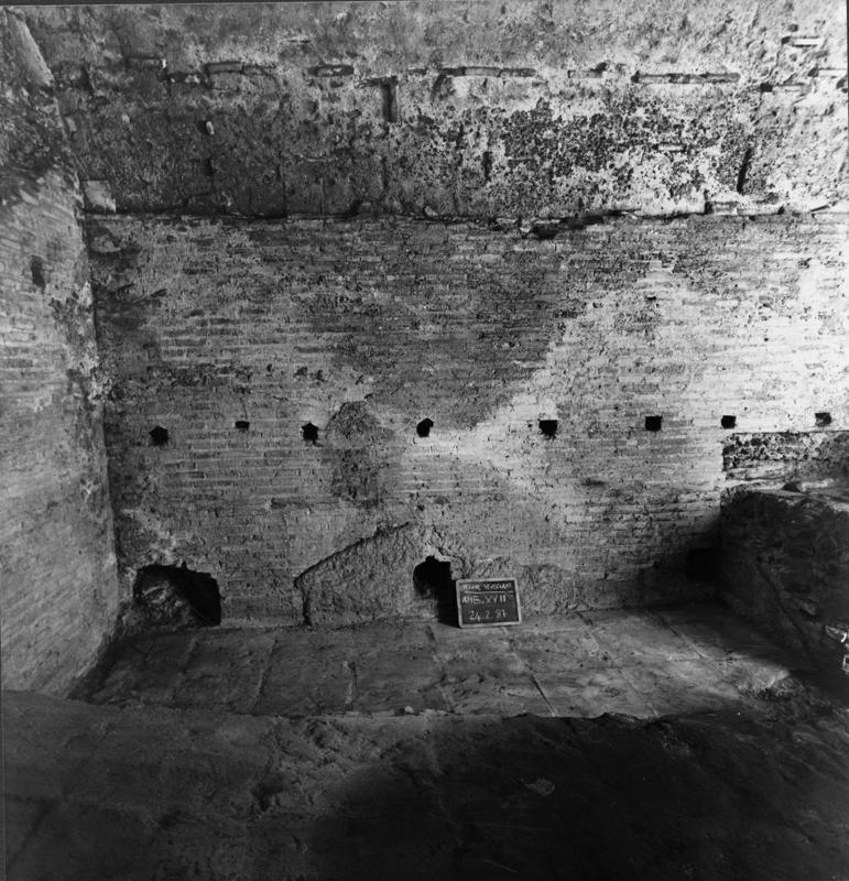 TS-A060-asf007738.jpg